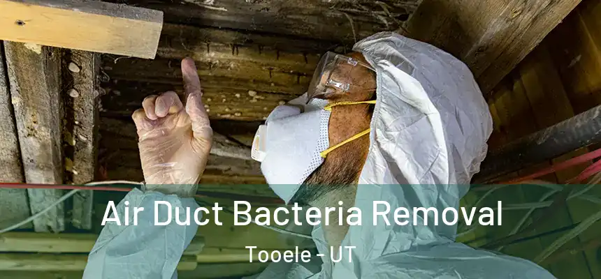  Air Duct Bacteria Removal Tooele - UT