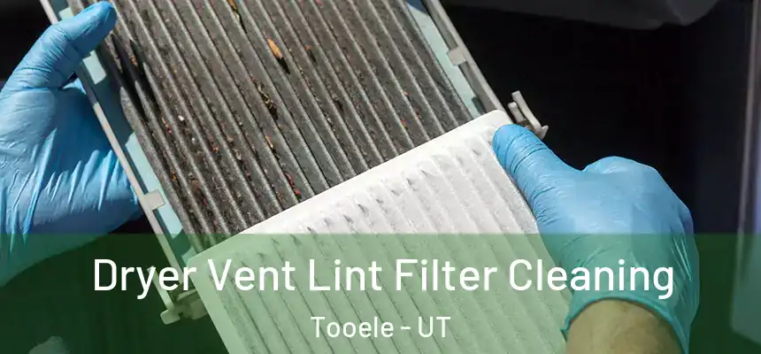  Dryer Vent Lint Filter Cleaning Tooele - UT