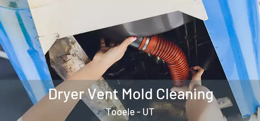 Dryer Vent Mold Cleaning Tooele - UT
