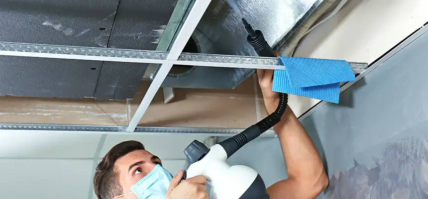 Our Air Duct Rodent Removal Services in Tooele, UT