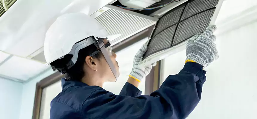 Our Mold & Mildew Removal from Air Ducts Services in Tooele, UT