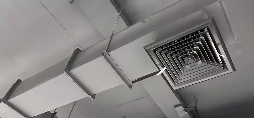 Our Rodent Droppings In Vents Services in Tooele, UT