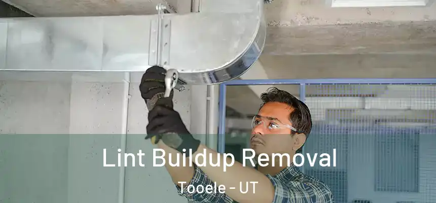  Lint Buildup Removal Tooele - UT