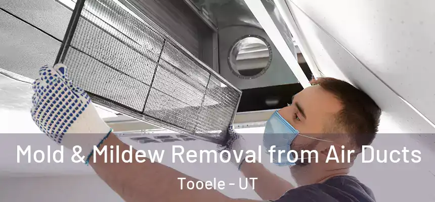  Mold & Mildew Removal from Air Ducts Tooele - UT