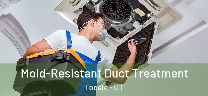  Mold-Resistant Duct Treatment Tooele - UT