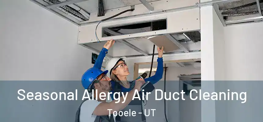  Seasonal Allergy Air Duct Cleaning Tooele - UT