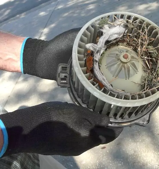 About Air Duct Rat Removal in Tooele, UT