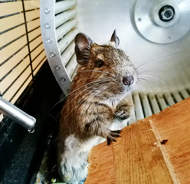 Why Homeowners & Businesses Trust Us Tooele, UT