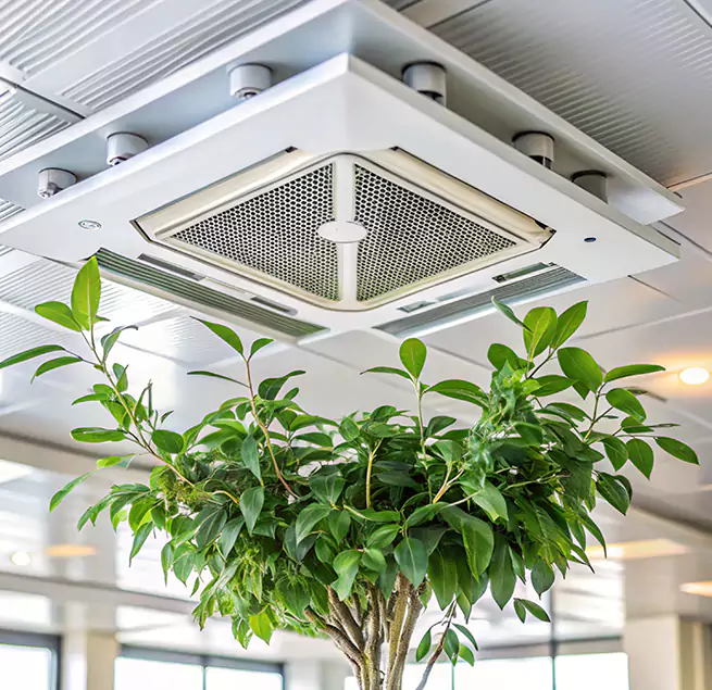 Why Homeowners & Businesses Trust Us in Tooele, UT?